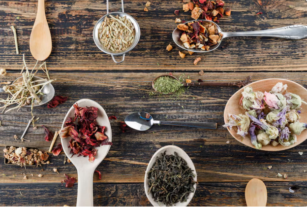 Alternative Treatment Therapy: How Holistic Approaches Are Redefining Modern Healing