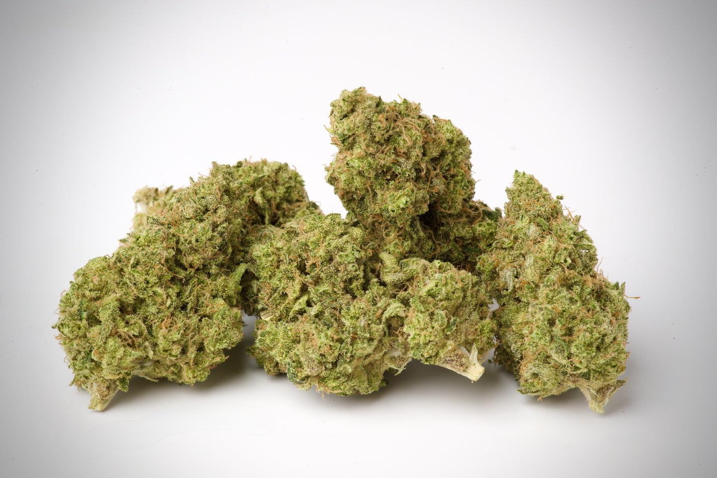 RESERVE - Pine Cream - 100% Organic Living Soil (Indica)