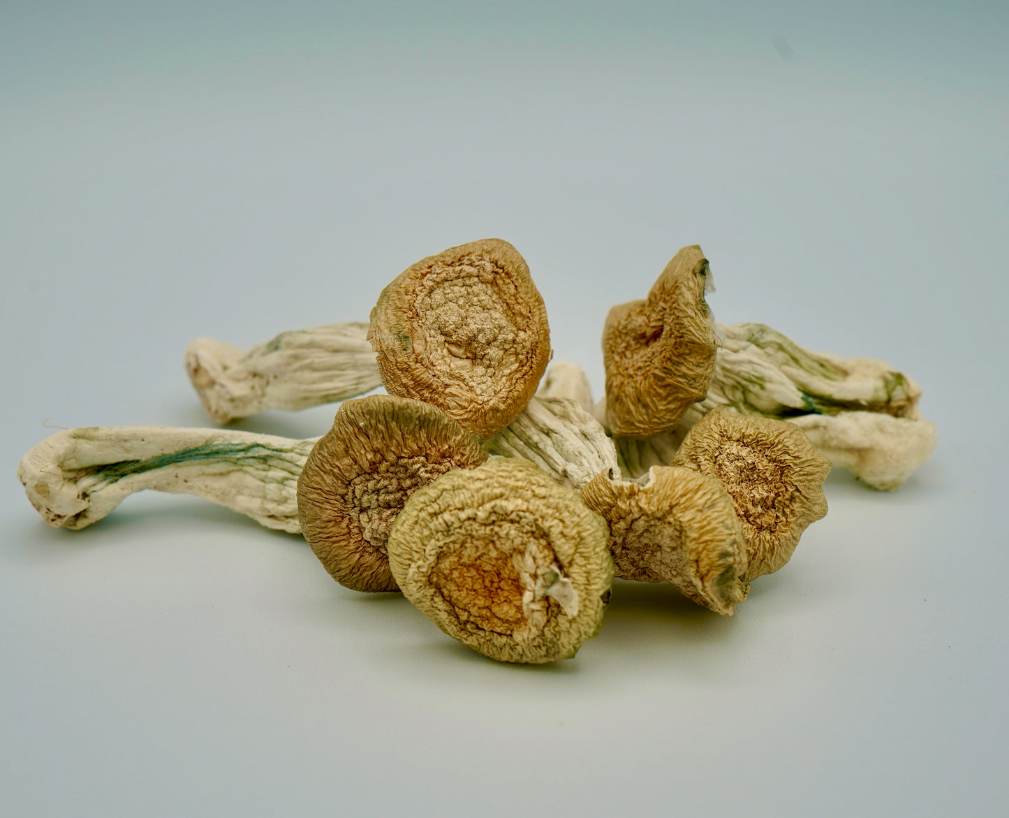 EDEN Galactic Gorilla Magic Mushrooms