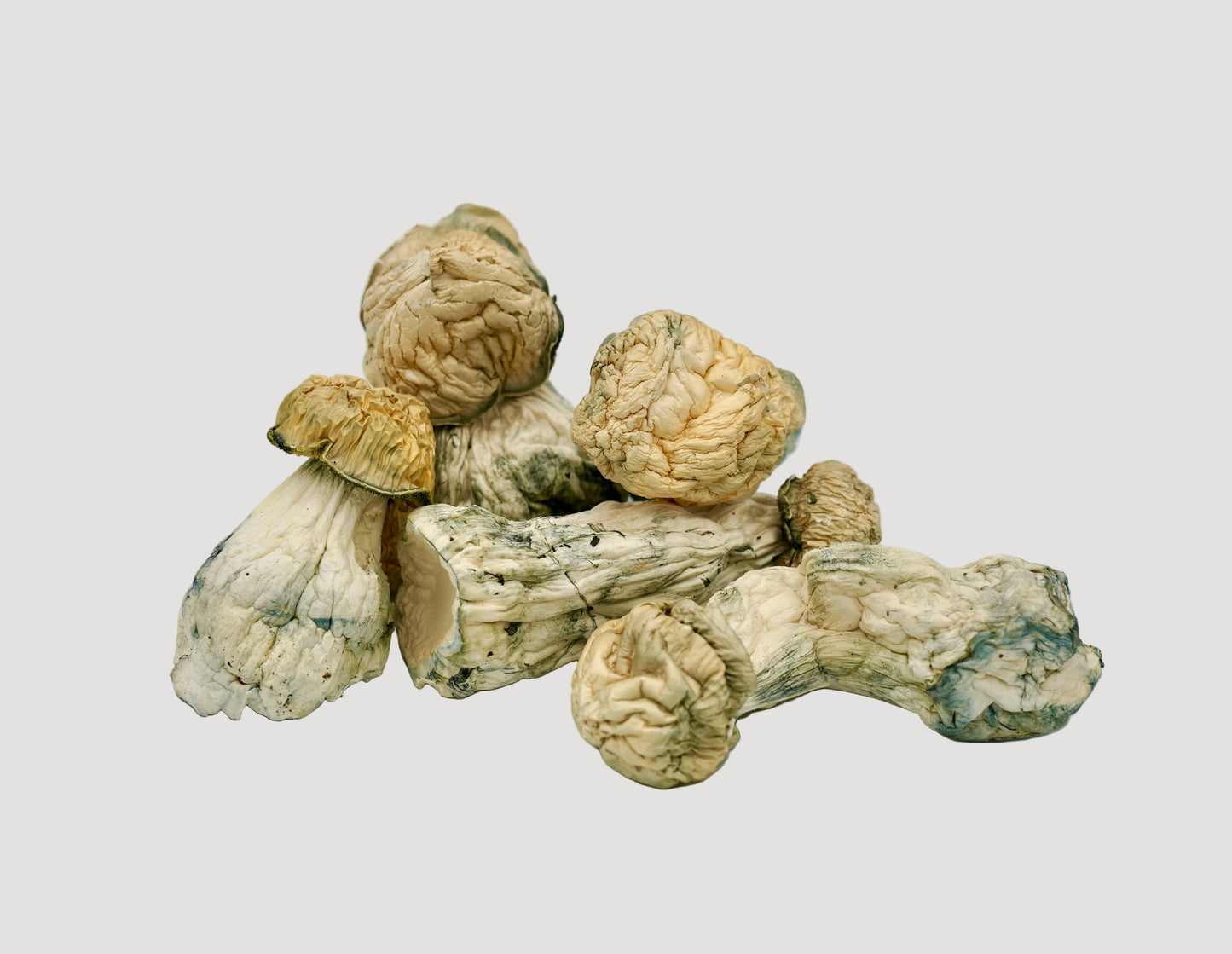 EDEN Ghost APE Magic Mushrooms