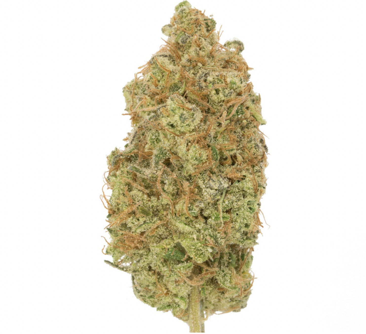 Cotton Candy (hybrid) 1oz - smalls