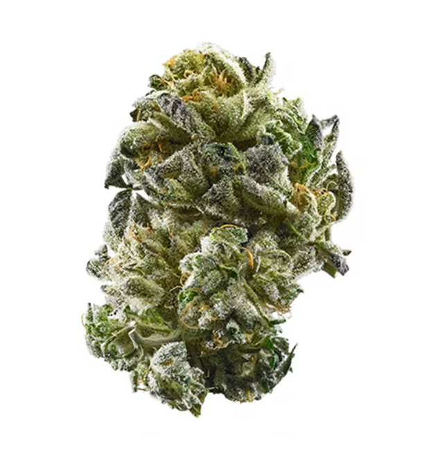 Girl Scout Cookies (hybrid) 1oz