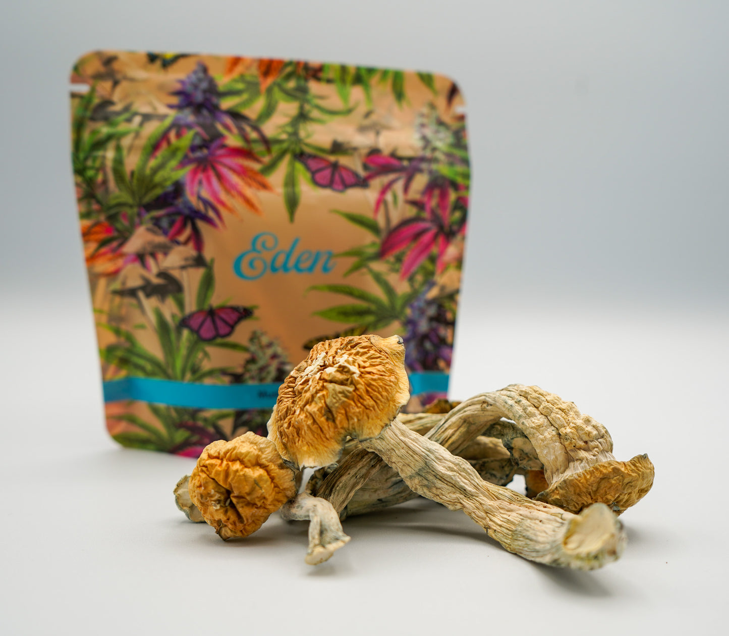 EDEN Tidal Wave Magic Mushrooms