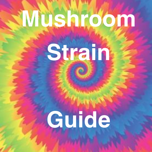 A Guide to Different Magic Mushroom Strains and Their Effects