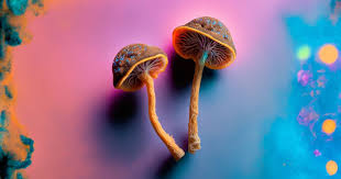 How psychedelic mushrooms may rewire the brain to ease depression, anxiety and more