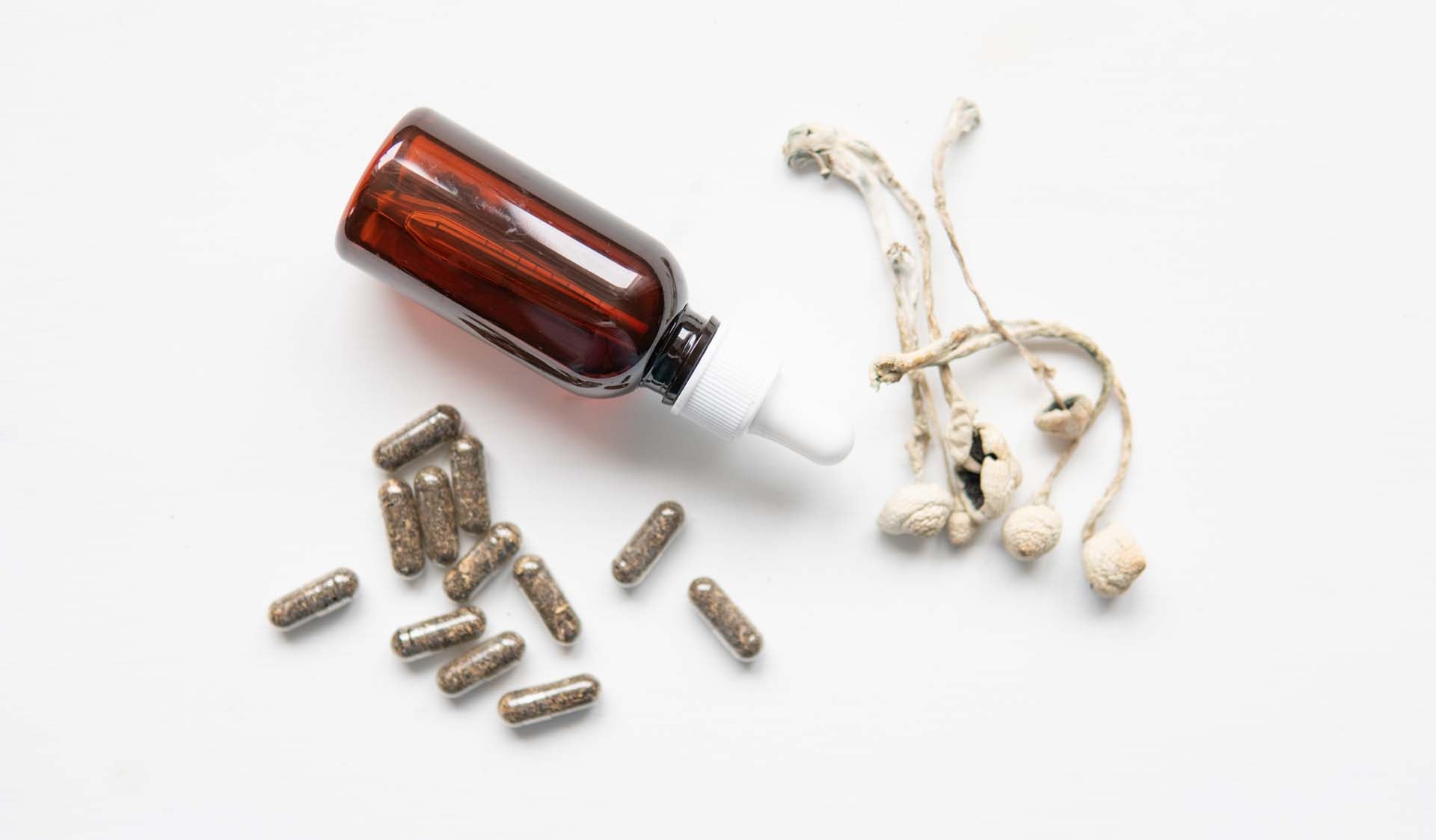 Veterans, PTSD and Magic Mushrooms: Potential Benefits of Microdosing and Heroic Dosing