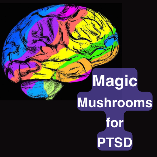 Macrodosing Magic Mushrooms for PTSD: A Healing Journey