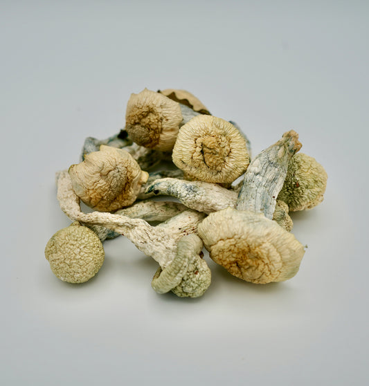 EDEN APE OG Magic Mushrooms