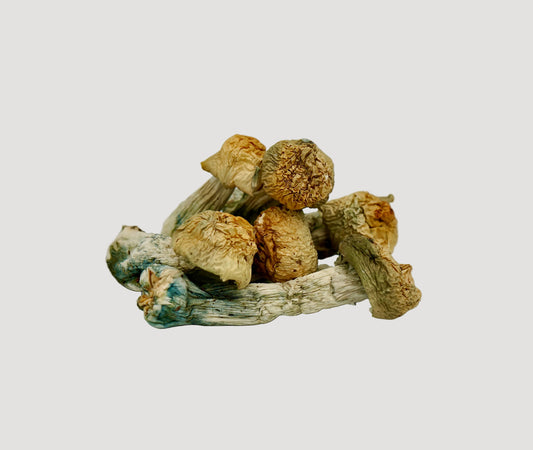 EDEN Baby Pink Elephant Magic Mushrooms