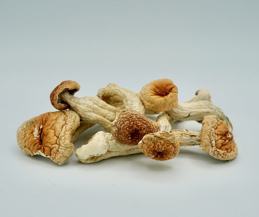 Blue Meanies Magic Mushrooms