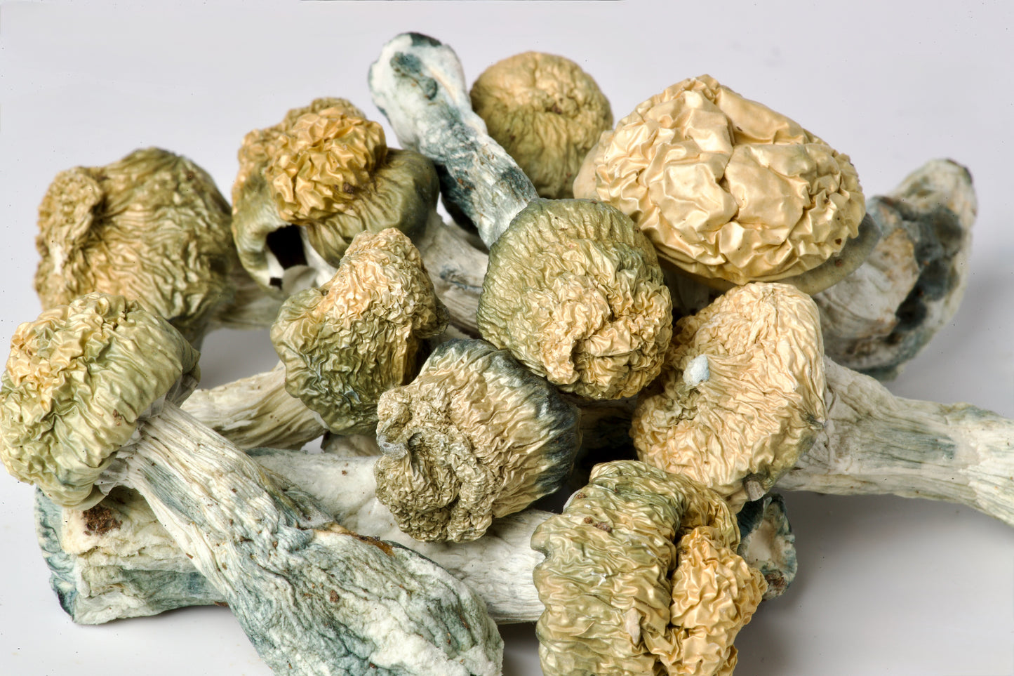 EDEN Baby Shakti Magic Mushrooms