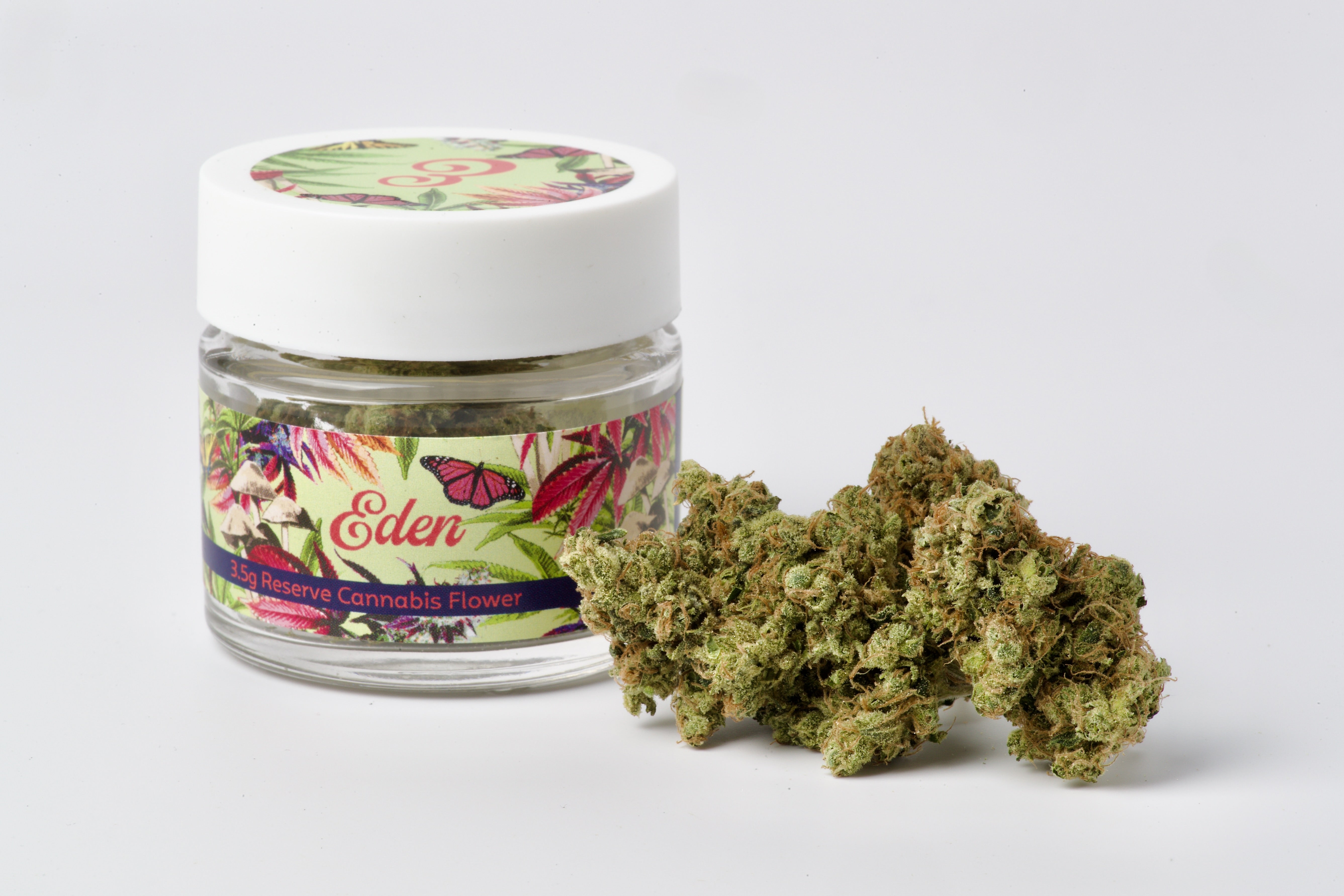 Midnight Sour Diesel | Sativa