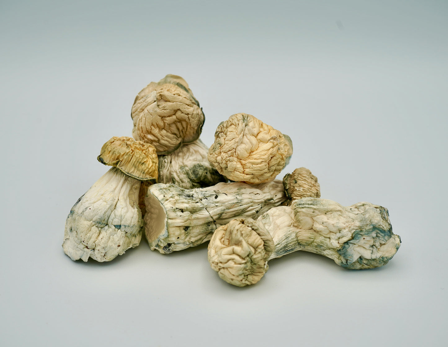 EDEN Ghost APE Magic Mushrooms