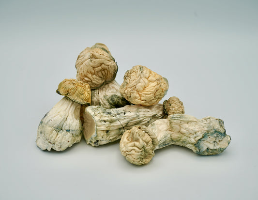 EDEN Ghost APE Magic Mushrooms