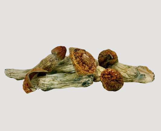 EDEN Golden Moon Magic Mushrooms