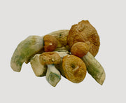 Penis Envy EXTREME Magic Mushrooms