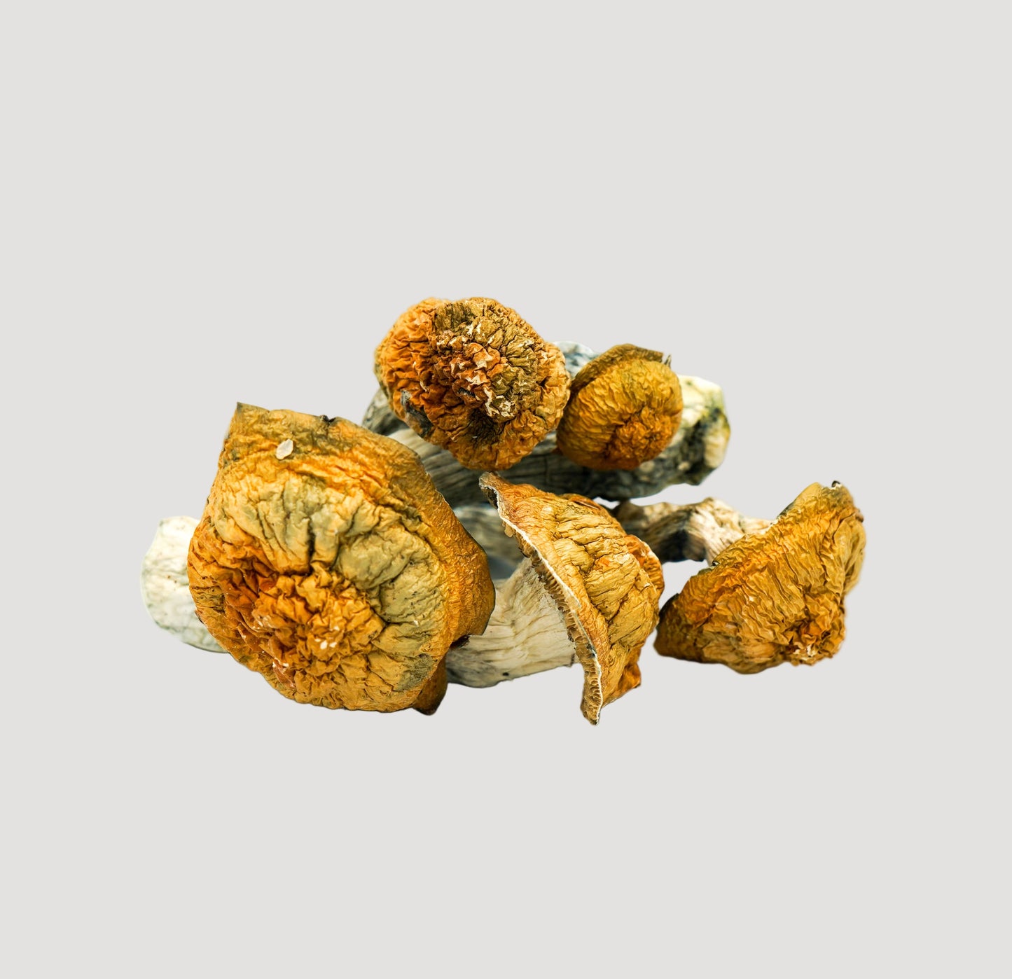 EDEN Penis Envy #6 Magic Mushrooms