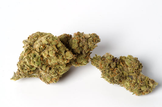 RESERVE - Rainbow Sherbert - 100% Organic Living Soil (indica)