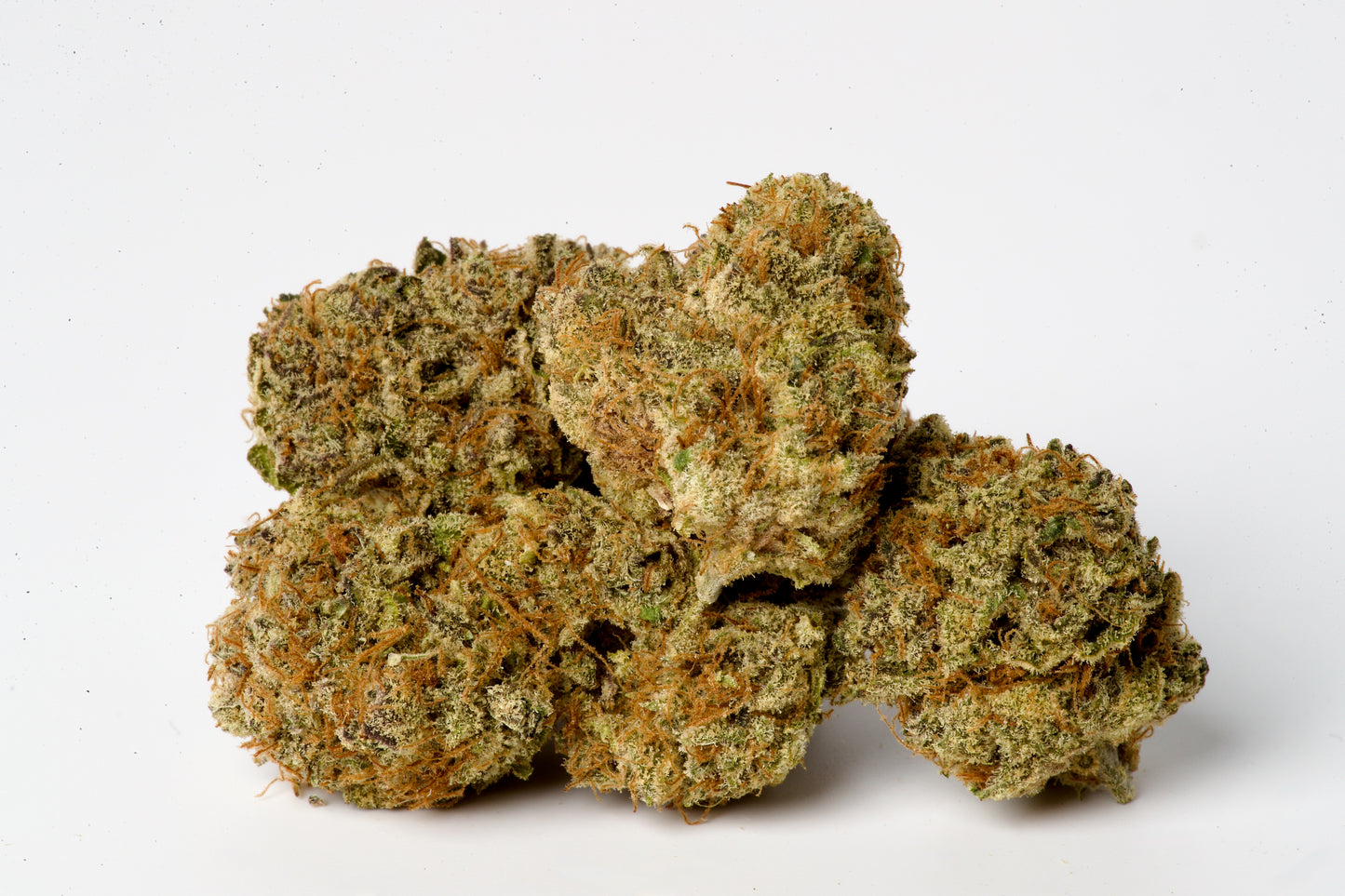 RESERVE - Super Yahmba - 100% Organic Living Soil (hybrid)