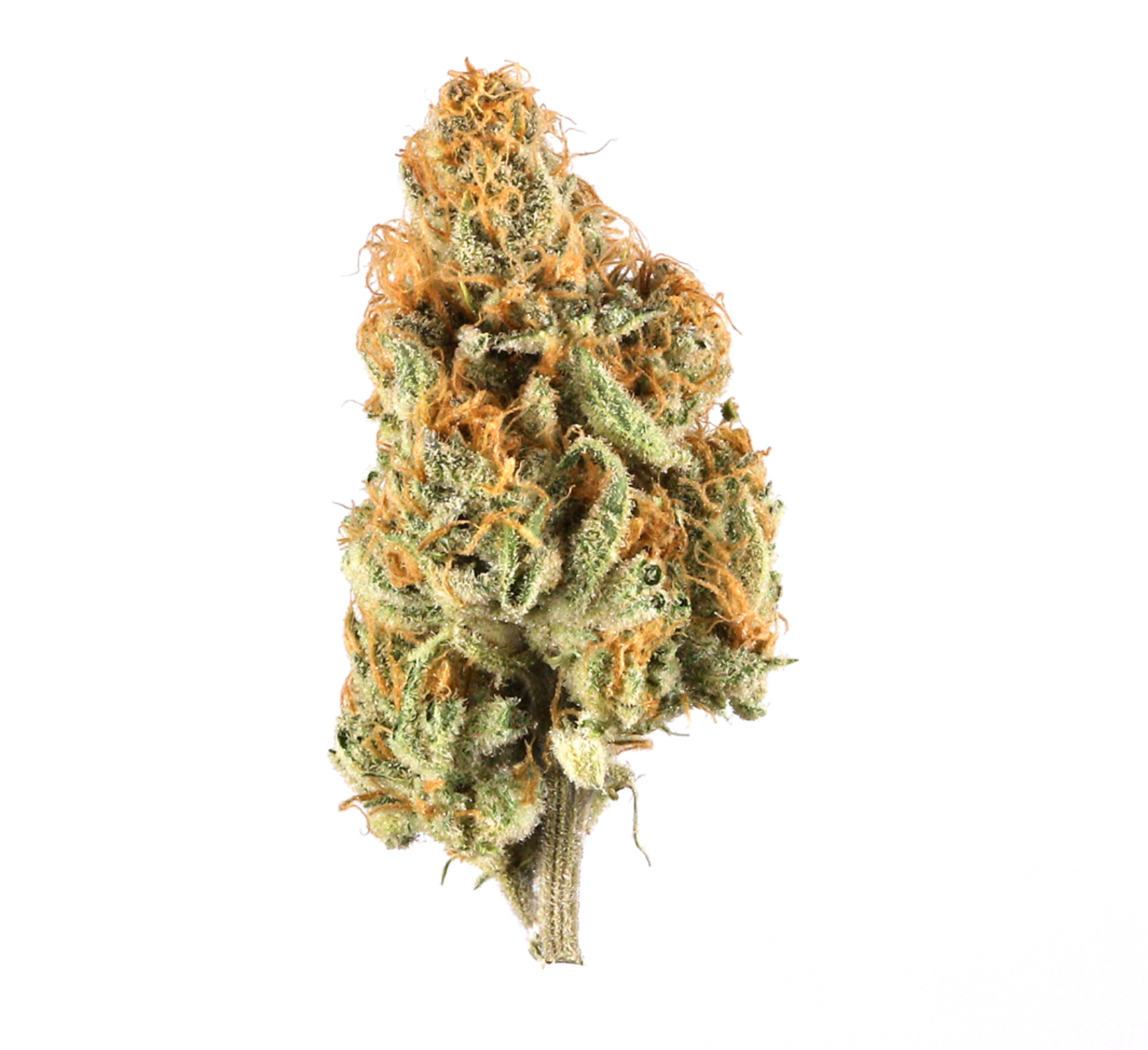 High Fructose Corn Syrup Smalls | Hybrid