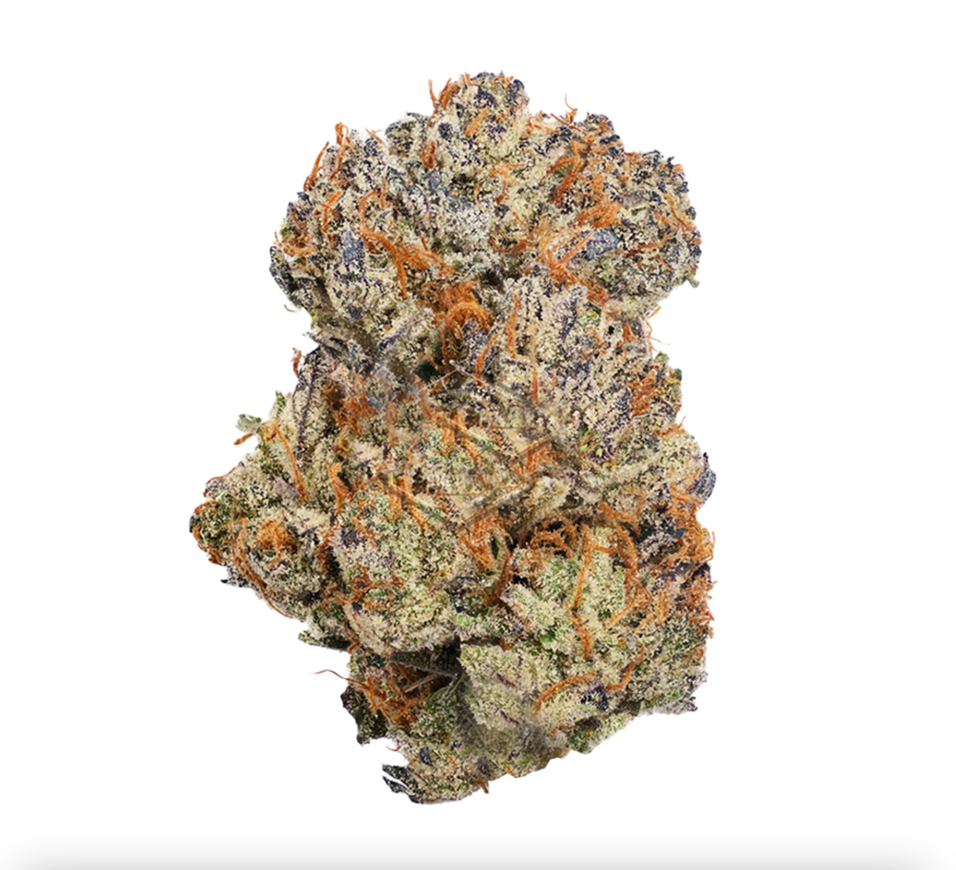 Permanent Marker Smalls | Hybrid