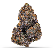 Lemon Cherry Gelato Smalls | Hybrid