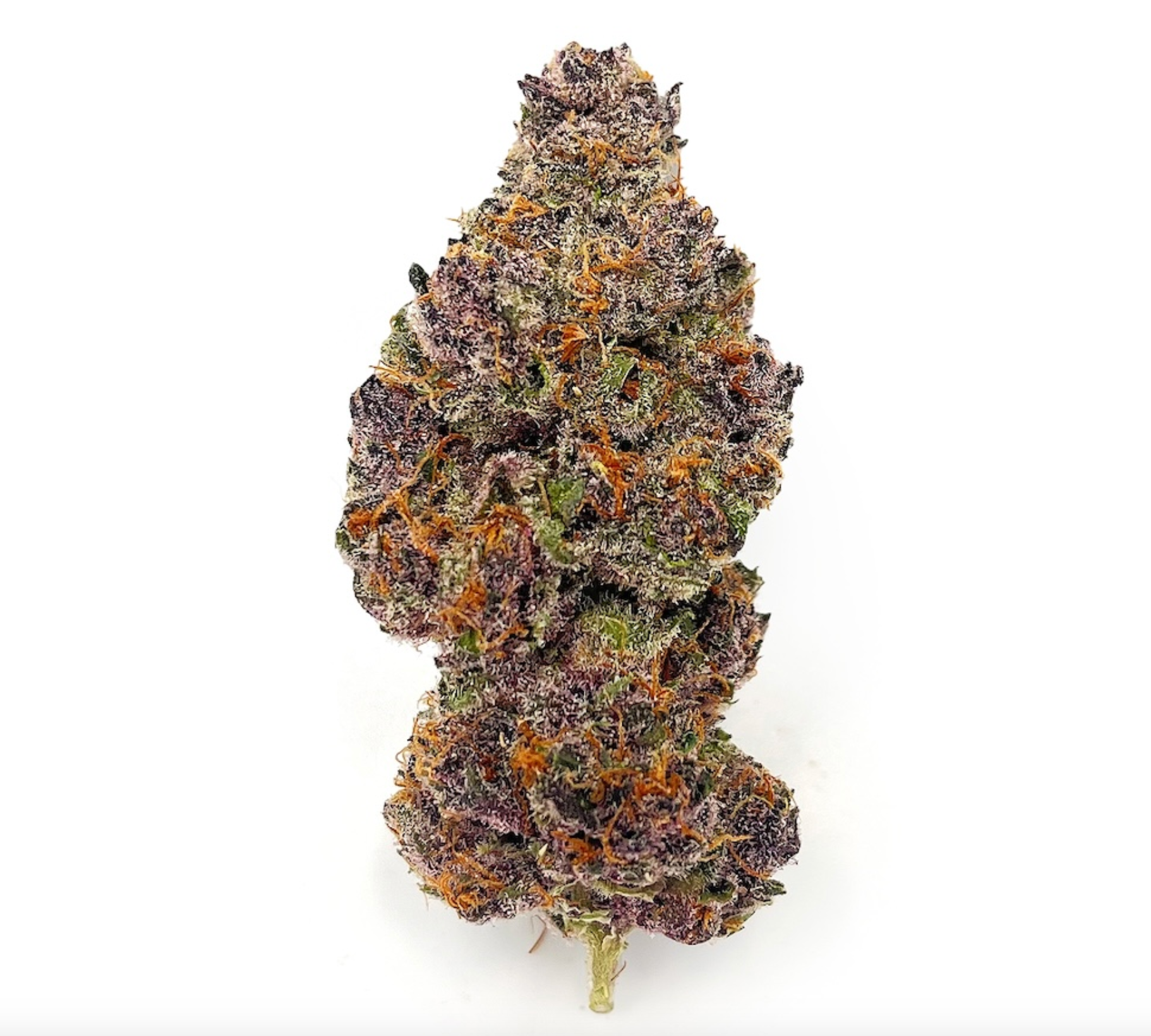 Tropicana Cherry | Hybrid