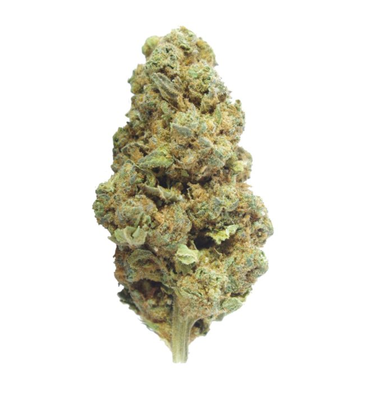 Mendo Breath | Indica
