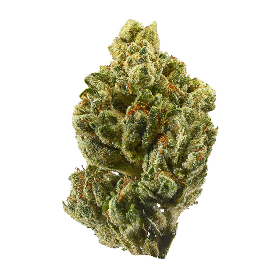 Headband | Hybrid
