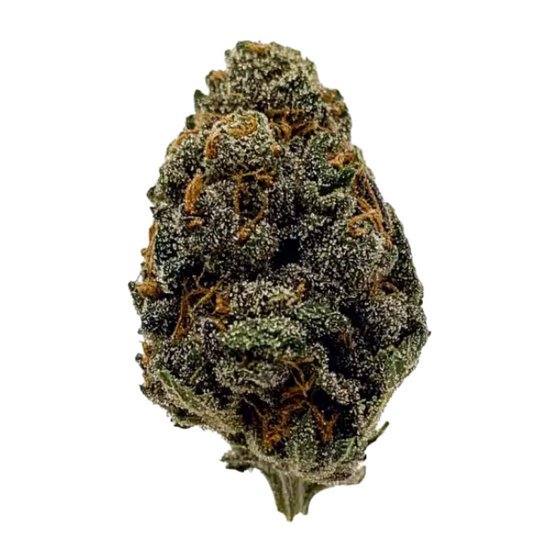 Lantz (hybrid) 1oz - greenhouse smalls