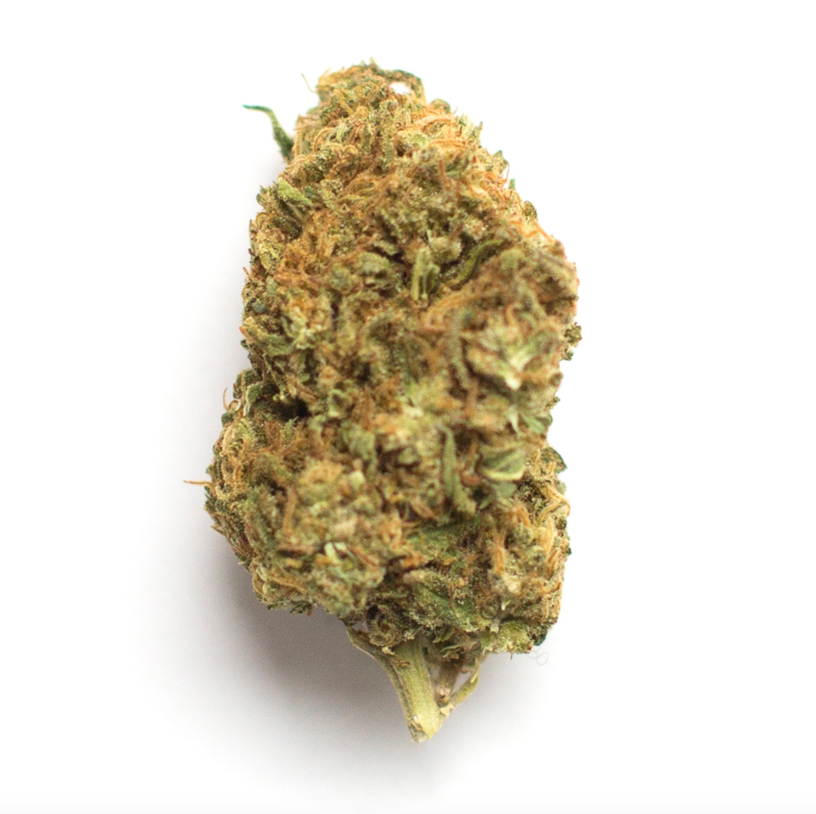 Ice Cream Cake Smalls | Indica