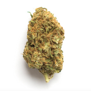 Ice Cream Cake Smalls | Indica