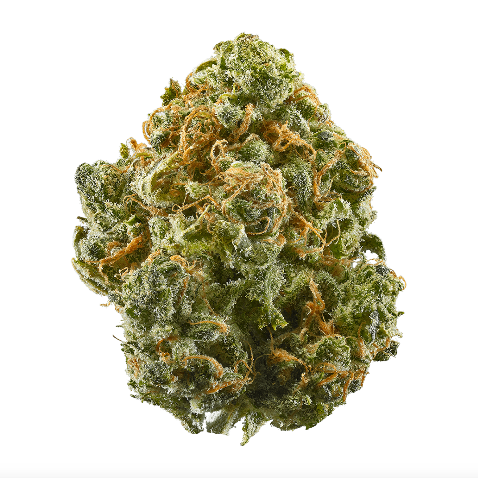 Afterglow | Indica