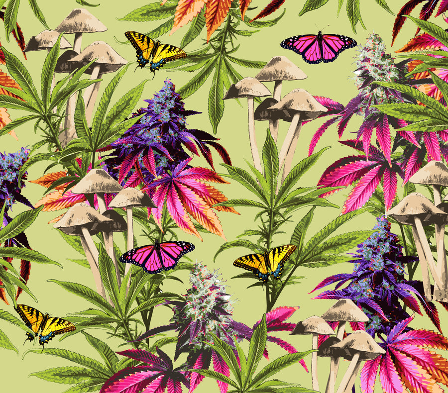 EDEN Blog – Tagged 