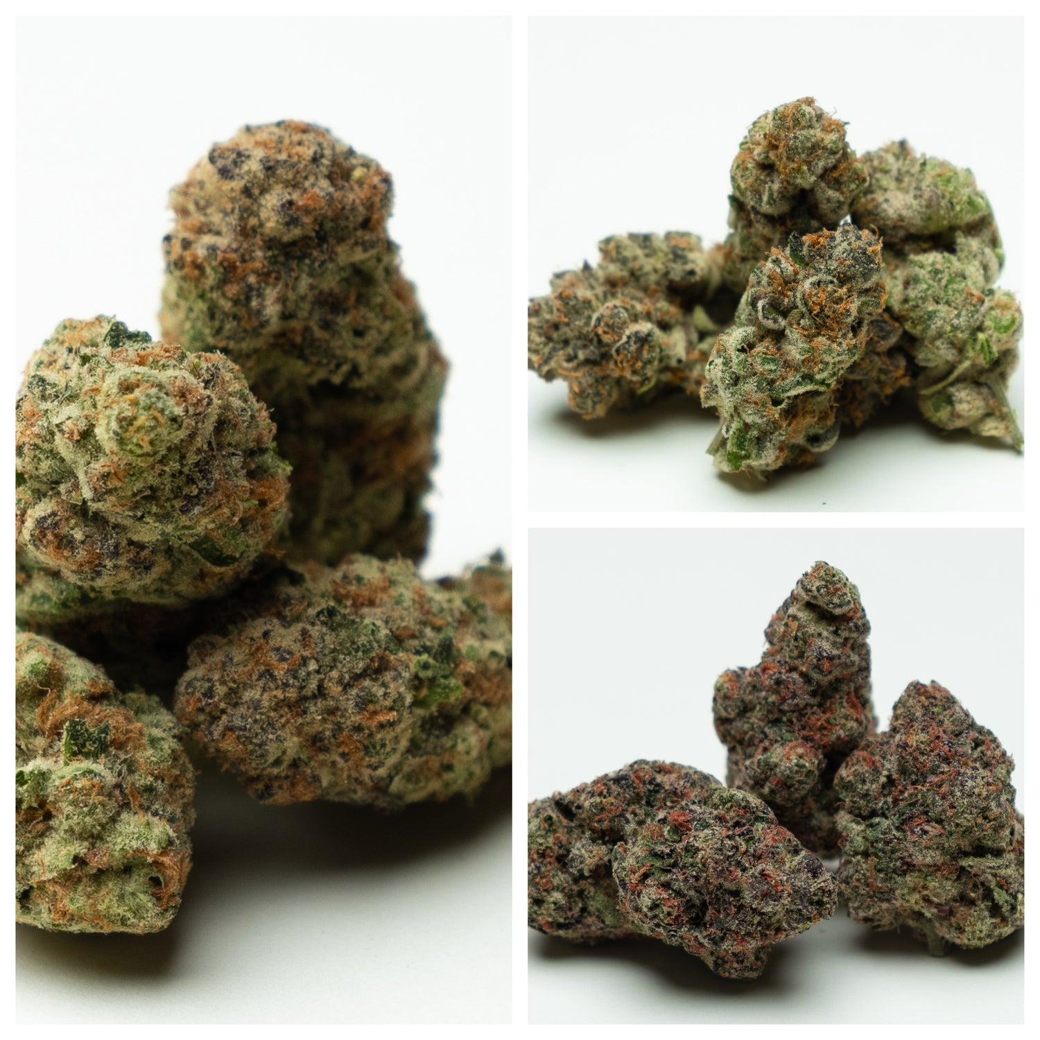 3 Flower Combo