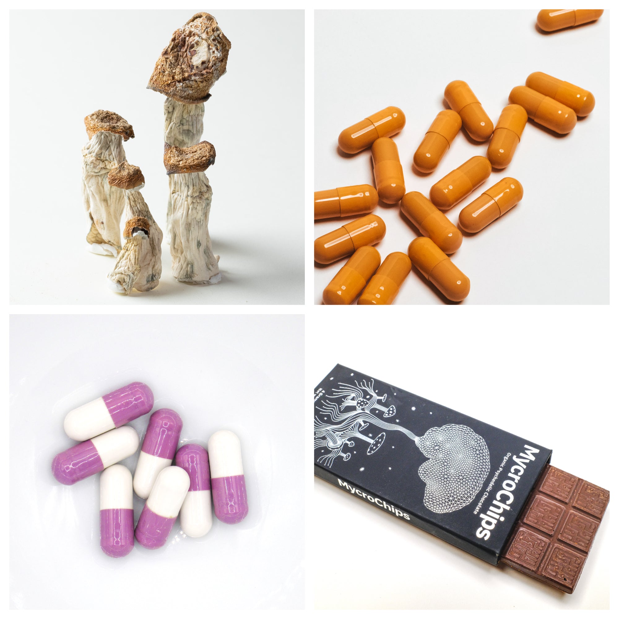 Mushroom Madness Bundle